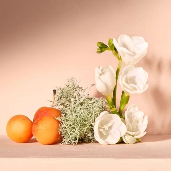 Bodylotion>Chloé Chloe Nomade Lenteset