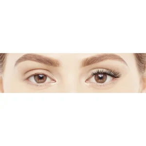 Accessoires Voor Wimperextensions>Eylure Lijn En Wimper
