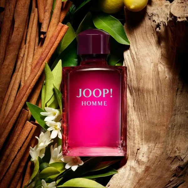 Deodorant>JOOP! Deodorant Voor Mannen