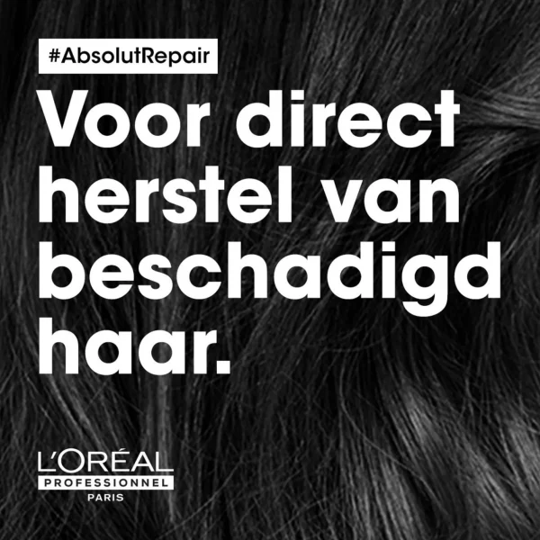 Leave-In-Conditioner>L´Oréal Professionnel L'Oreal Professionnel Absolut Reparatie