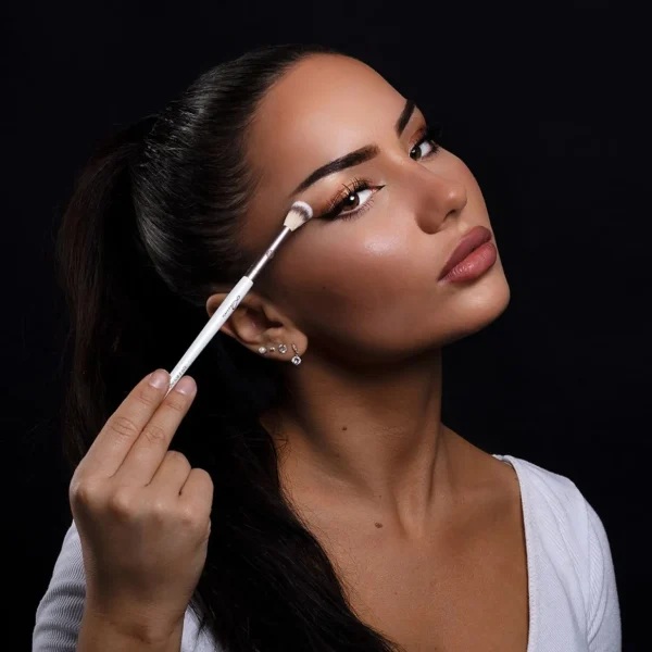 Penselensets>Luvia Prime Vegan Essential Eye Set