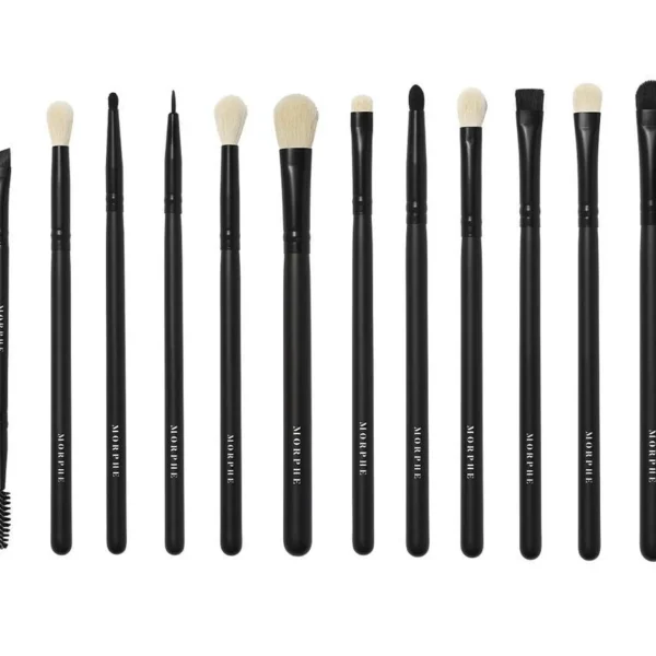 Penselensets>Morphe Eye Obsessed