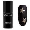 Top Coat>NEONAIL Top Frosted Poeder Nagelkunst