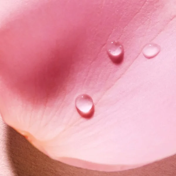 Micellair Water>NUXE Very Rose 3-In-1 Shooting Micellar Water