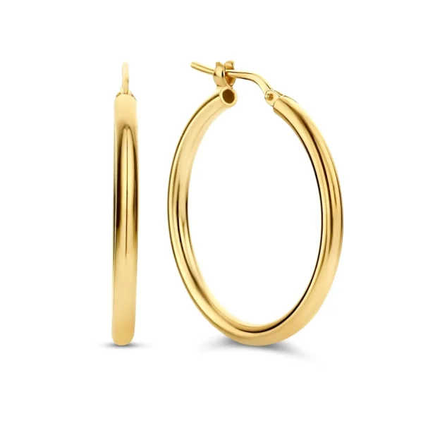 Oorringen>Parte Di Me Bibbiena Poppi Dames Oorringen/Oorbellen Gouden Plating/Zilver - Goud