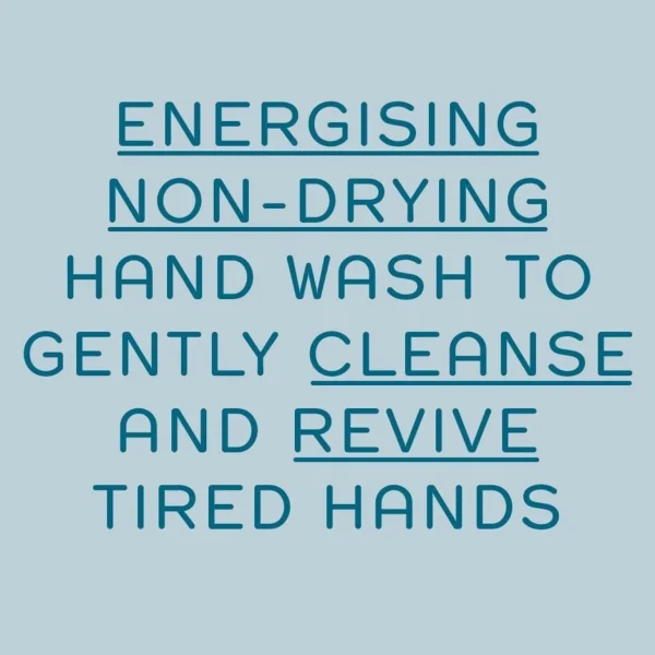 Ontsmettingsmiddelen>REN Clean Skincare Atlantic Kelp And Magnesium Energising Hand Wash