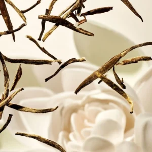 Geurstokjes & Roomsprays>Rituals Rituelen Het Ritueel Van Karma Het Leven Is Een Reis - Autoparfum