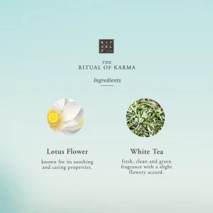 Geurstokjes & Roomsprays>Rituals Rituelen Het Ritueel Van Karma Het Leven Is Een Reis - Autoparfum