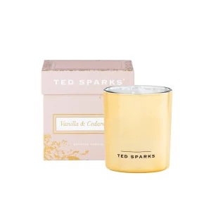 Kaarsen>Ted Sparks Vanilla & Cedarwood Demi