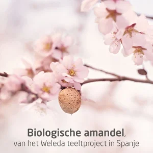 Baby Creme & Olie>Weleda Zwangerschapsolie