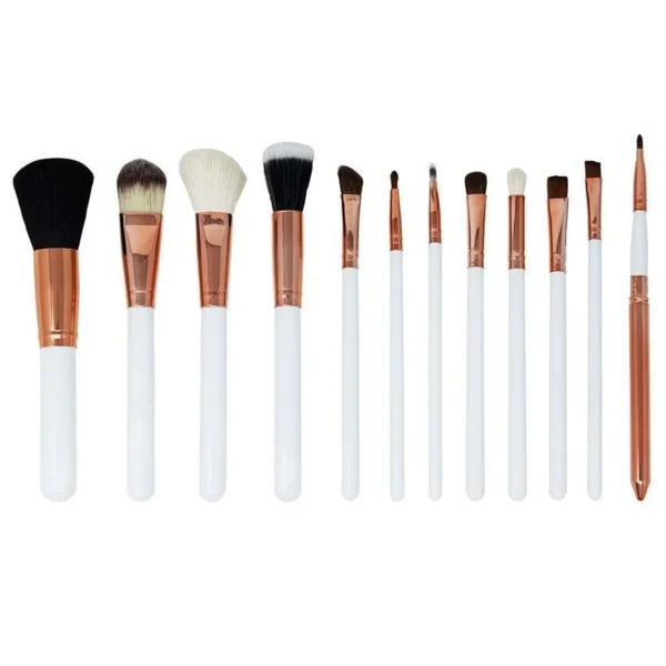 Penselensets>Zoe Ayla Professionele Penselenset 12 Stuks